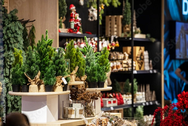 Fototapeta Small Christmas trees in a flower shop. Preparing for Christmas.
