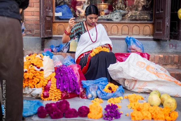 Fototapeta Newari Girl in traditional attire Crafting Globe Amaranth Garlands(makhmali flower) for Bhai Tika in tihar