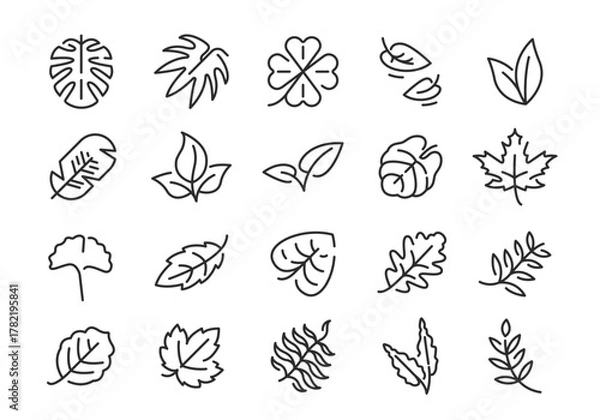 Fototapeta Leaf icons. Set of 20 leaf trendy minimal icons. Maple, Clover, Palm, Fern, Ginkgo icon. Design signs for web page mobile app packaging design. Vector illustration
