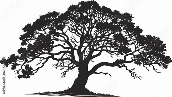 Fototapeta Silhouette of Majestic Oak Tree: A dramatic silhouette of a towering oak tree, its gnarled branches reaching towards the sky, set against a backdrop, evoking a sense of strength, resilience.