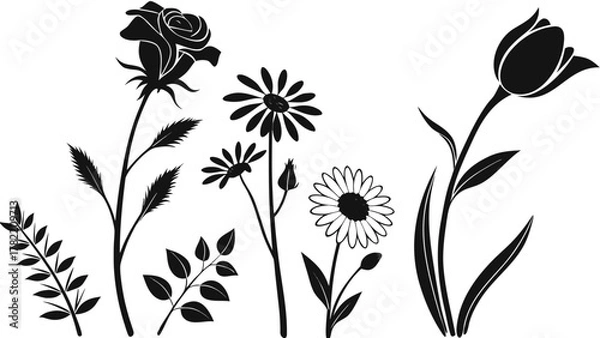 Fototapeta Elegant Floral Silhouette: A collection of various, beautiful flowers and leaves arranged with artistic silhouette in elegant arrangement. 