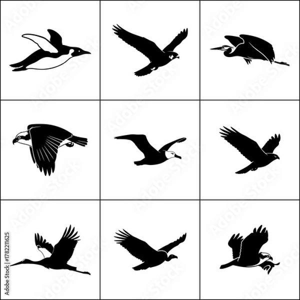 Fototapeta Set of 9 flying bird silhouettes. Birds in flight vector collection. Gull icons.