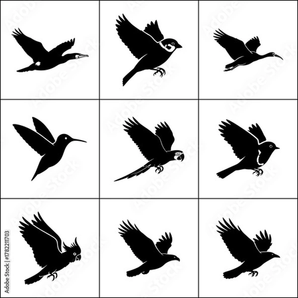 Fototapeta Set of 9 flying bird silhouettes. Various poses of birds in flight.