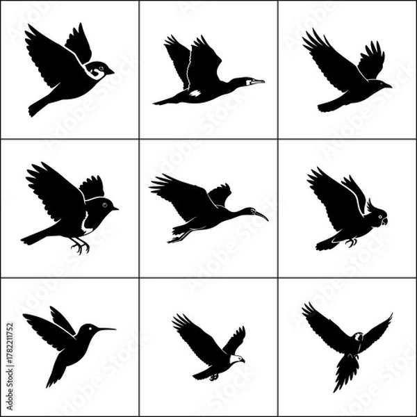 Fototapeta Set of 9 bird silhouettes in flight. Vector graphics of flying birds.
