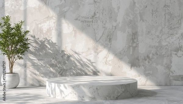 Fototapeta Shadows of foliage cast by bright sunlight on a stone concrete platform, showcasing a minimalist step mockup with natural light effects.