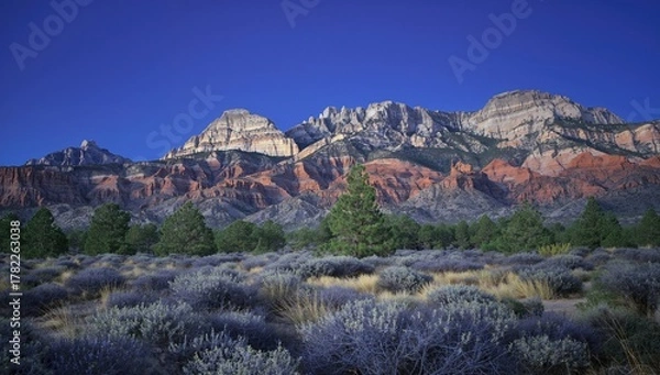 Fototapeta Majestic mountains rise over rocky terrain, featuring dense pine trees and shrubbery, highlighting erosion risk.