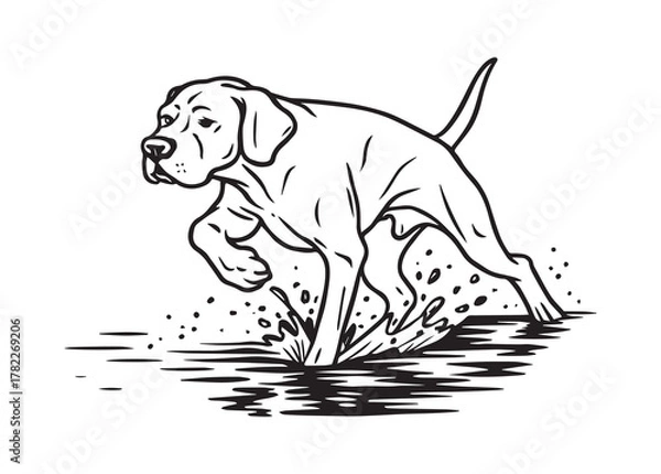 Obraz Hunting Dog Line Art Vector Illustration, Pointer Dog Silhouette Sketch, Pointer dog vector illustration art