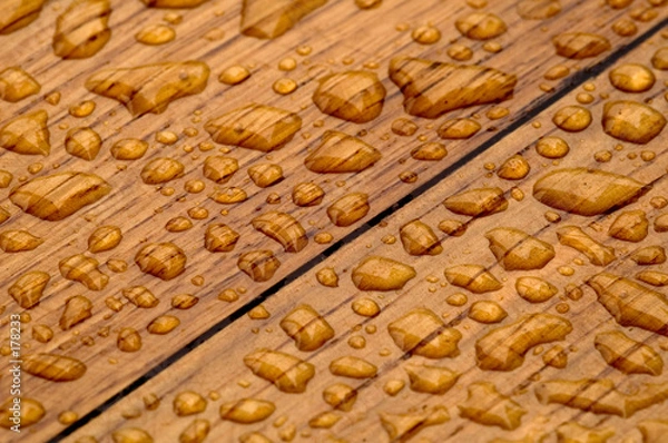 Obraz pattern on oakwood