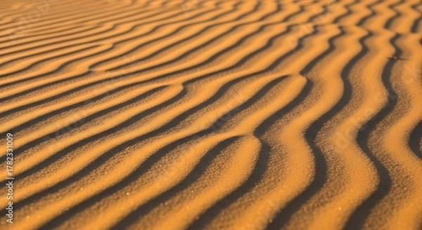 Fototapeta Golden Sand Dunes with Rippling Patterns Under Sunlight.