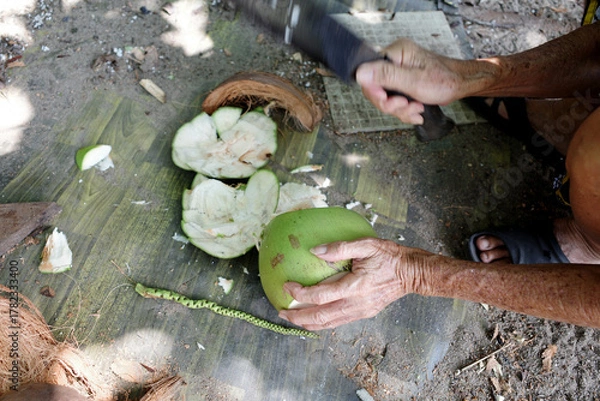 Fototapeta Close up of an senior man cutting a coconut with a machete