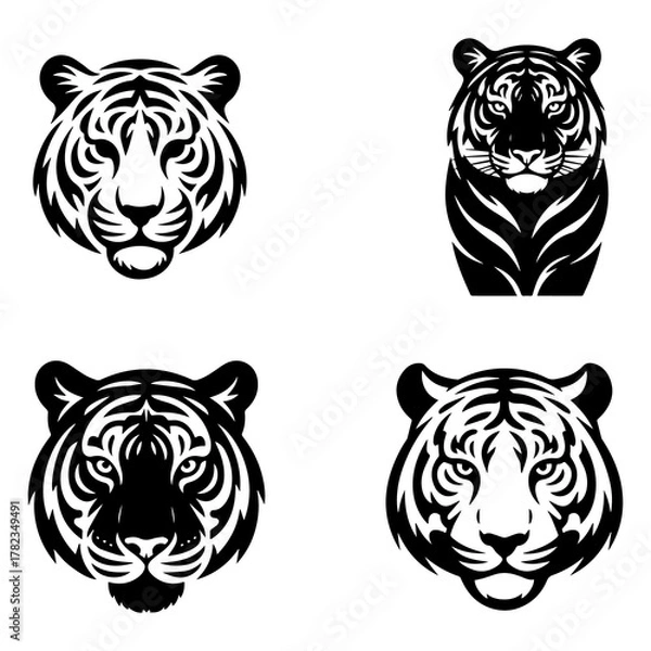 Fototapeta tiger vector illustration