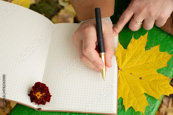 Fototapeta A woman's hand writes in a notebook with a pen