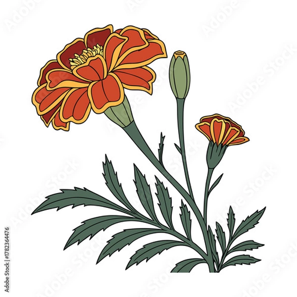 Fototapeta vector illustration of flowers