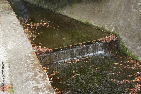 Obraz 落ち葉が浮いている秋の住宅街を流れる小川
