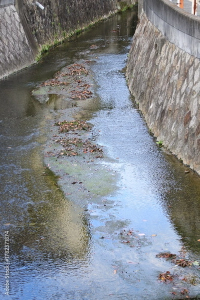 Obraz 落ち葉が浮いている秋の住宅街を流れる小川