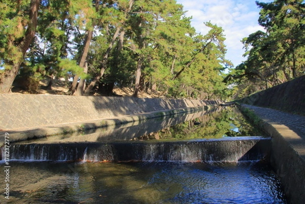 Obraz 秋の夙川の清き流れ(兵庫県西宮市)