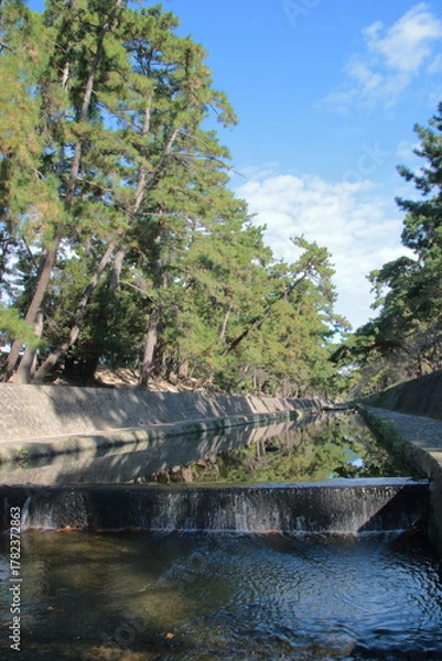 Fototapeta 秋の夙川の清き流れ(兵庫県西宮市)