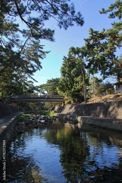 Obraz 秋の夙川の清き流れ(兵庫県西宮市)