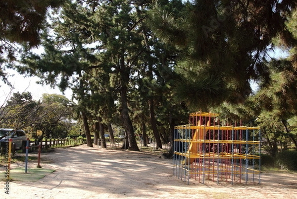 Obraz カラフルなジャングルジム・すべり台・鉄棒と松林が綺麗な夙川公園(兵庫県西宮市)