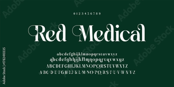 Obraz Elegant Font Uppercase Lowercase and Number. Classic Lettering Minimal Fashion Designs. Typography modern serif fonts regular decorative vintage concept. vector illustration.