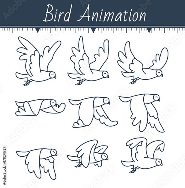 Obraz animation the bird is flying