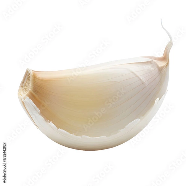 Fototapeta Single Raw Garlic Clove With White Paper Skin Isolated On White Background Studio Shot