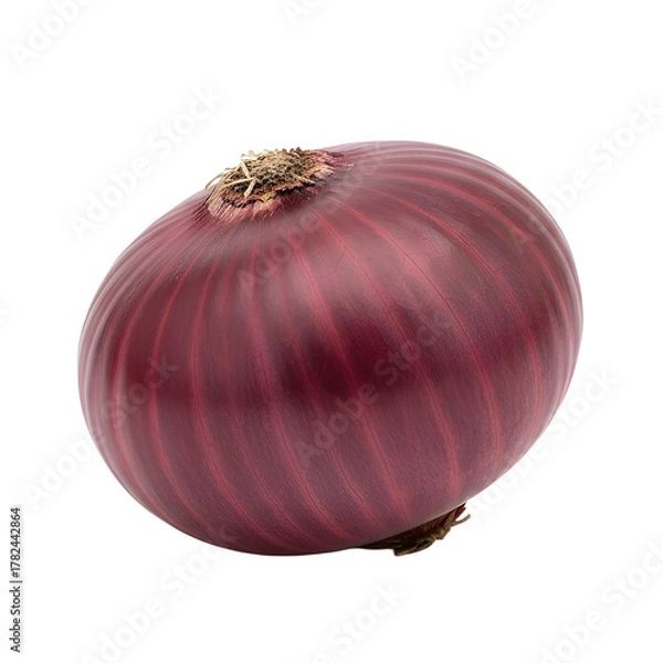 Fototapeta Single Red Onion Vegetable Isolated on White Background with Natural Lighting Detailed Texture