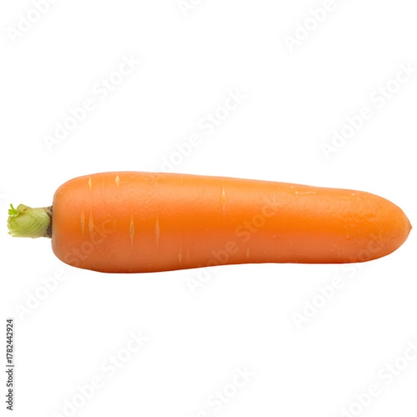 Obraz Single Ripe Orange Carrot with Green Stalk Isolated on White Background Studio Shot