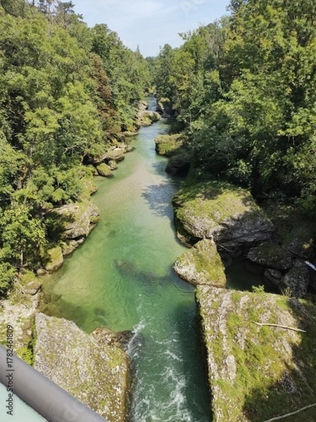 Obraz river in the forest