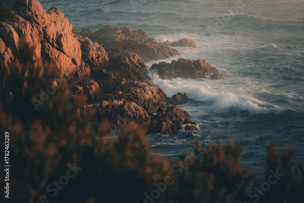 Obraz sunset on the coast