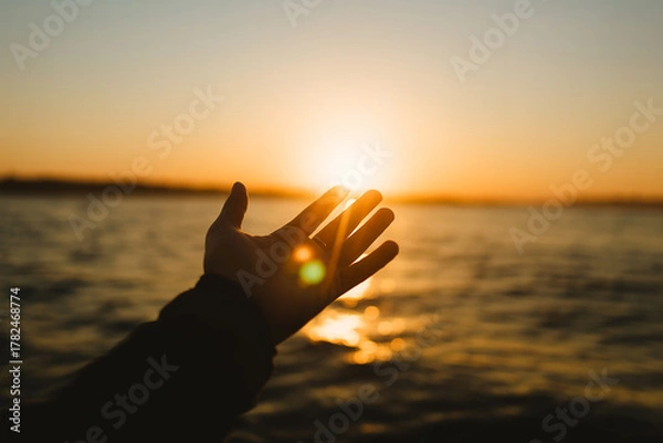 Fototapeta Reaching for the golden sun at dawn, feeling hope and new beginnings over the tranquil water's edge
