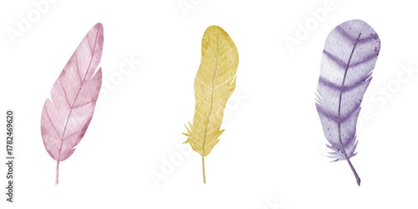 Obraz Soft watercolor feathers illustrations