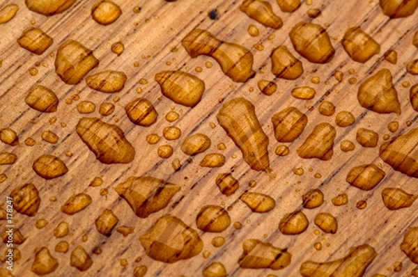 Obraz pattern on oakwood