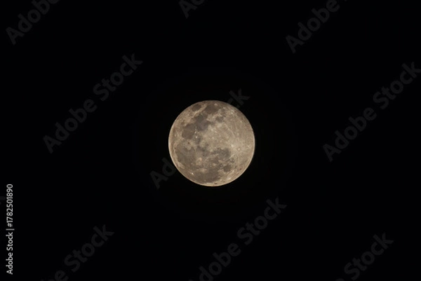 Fototapeta The astronomical phenomenon Supermoon perigee was visible in the sky of West Sumatra, Indonesia, Thursday (6/11/2025). 