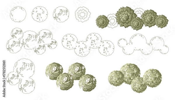Fototapeta Tree for architectural floor plans. Entourage design. Various trees, bushes, and shrubs, top view for the landscape design plan. Vector illustration.