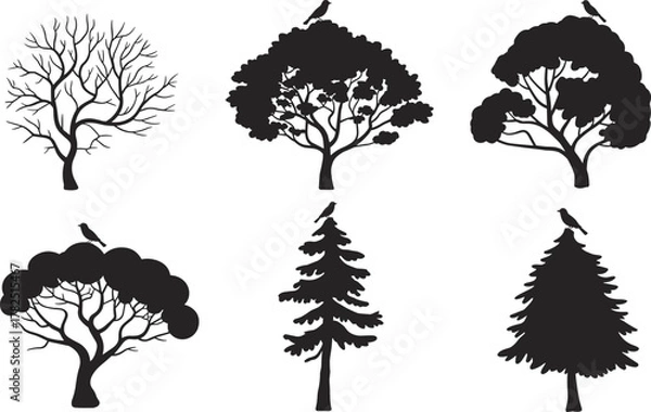 Fototapeta Vector illustration of six black tree silhouettes with perched birds, diverse canopy shapes, branch structures, and artistic foliage styles