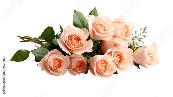Obraz Elegant bouquet of peach roses on transparent background