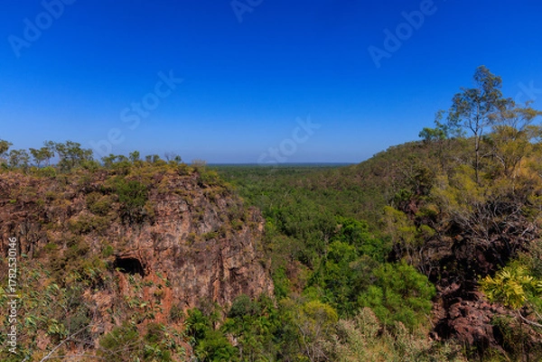 Obraz オーストラリアのノーザンテリトリー　リッチフィールドの景色