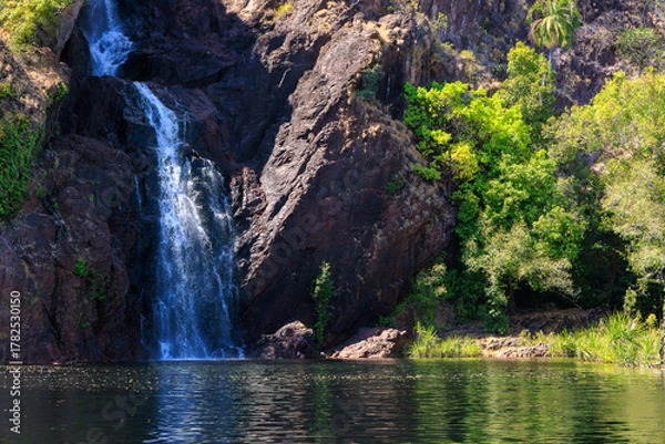Obraz オーストラリアのノーザンテリトリー　リッチフィールドにあるワンギの滝