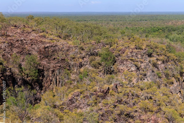 Obraz オーストラリアのノーザンテリトリー　リッチフィールドの壮大な風景