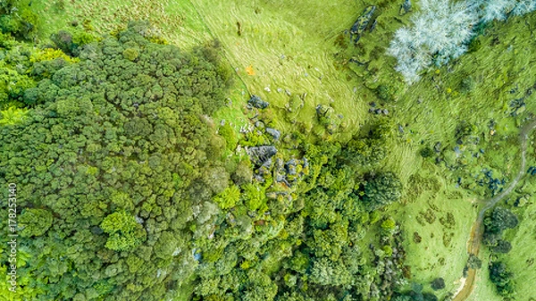 Fototapeta Aerial view on a rocky cliff with forest and farmland on the background. Taranaki region, New Zealand