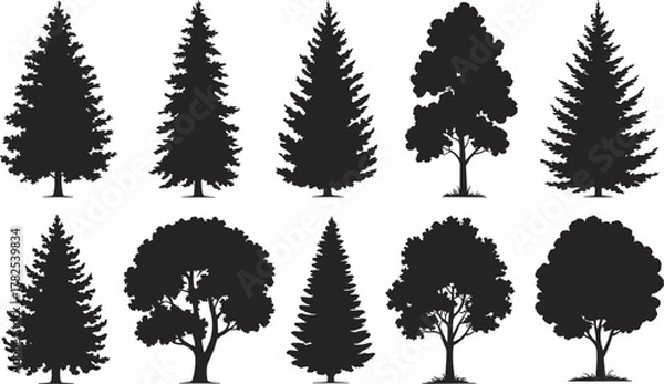 Fototapeta Flat vector silhouette set of coniferous and deciduous trees, forest elements, nature landscape, botanical illustration, foliage design, black graphic