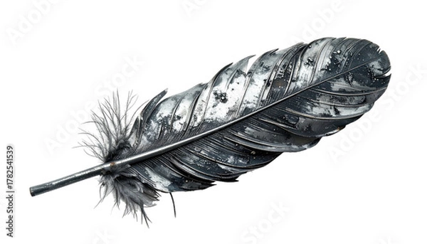 Fototapeta A close-up studio shot depicts a silver feather against a stark, black background