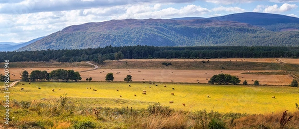 Obraz romantische Tallandschaft