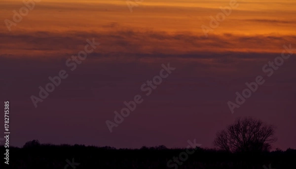 Obraz sunset in the sky