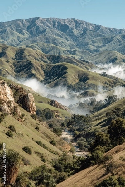 Fototapeta Rolling hills valley with fog, river