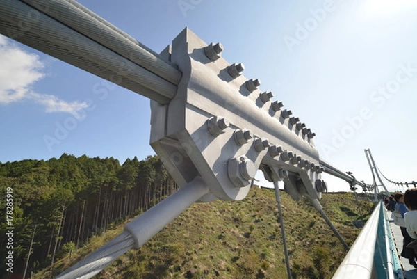 Obraz 三島スカイウォーク