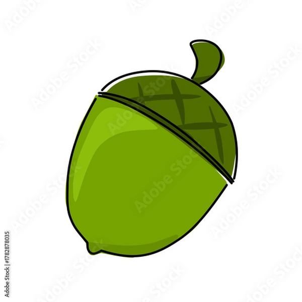 Fototapeta Flat vector illustration of a nut, simple and clean design perfect for food, snack, healthy, and organic nutrition graphics