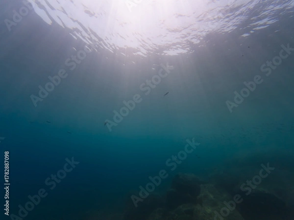 Fototapeta Serene underwater scene with bright sunbeams streaming through the blue ocean surface above a rocky seabed.