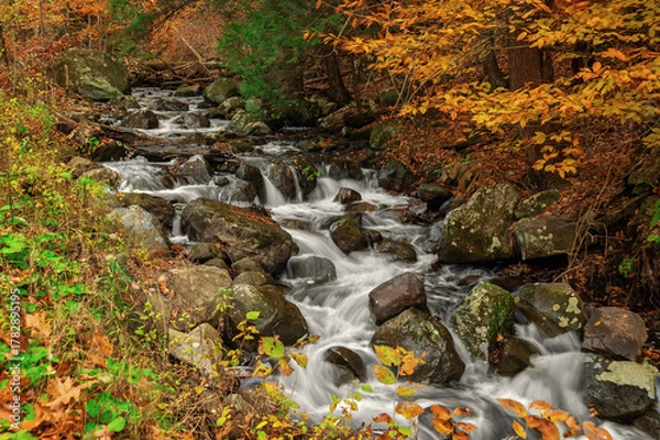 Obraz Tommhanock Creek Falls